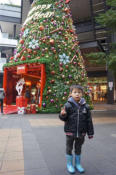 DSC01815-1024.jpg DSC01815-1024.jpg