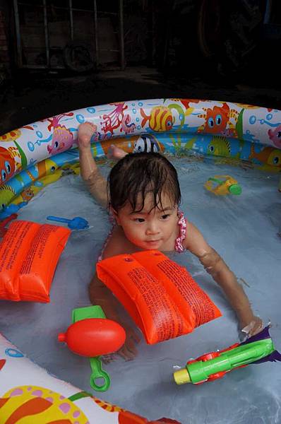 DSC02942-1024.jpg DSC02942-1024.jpg