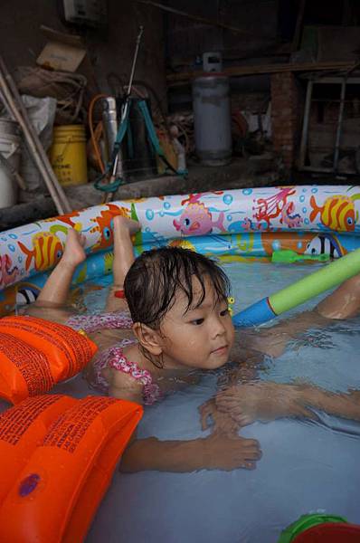 DSC02955-1024.jpg DSC02955-1024.jpg