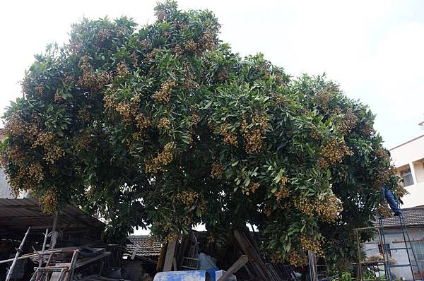 DSC02992-1024.jpg DSC02992-1024.jpg