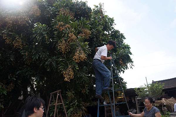 DSC02995-1024.jpg DSC02995-1024.jpg