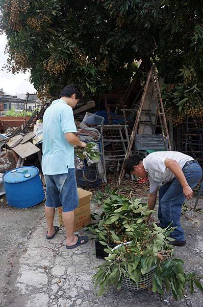 DSC03019-1024.jpg DSC03019-1024.jpg