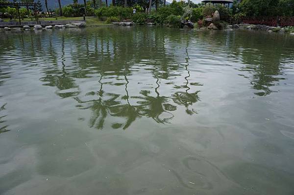 DSC01508-1024.jpg DSC01508-1024.jpg