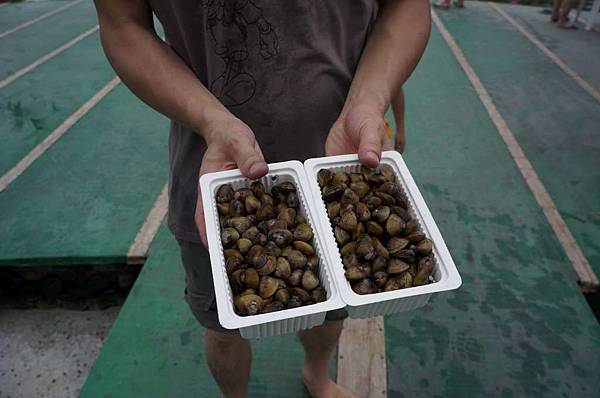 DSC01591-1024.jpg DSC01591-1024.jpg