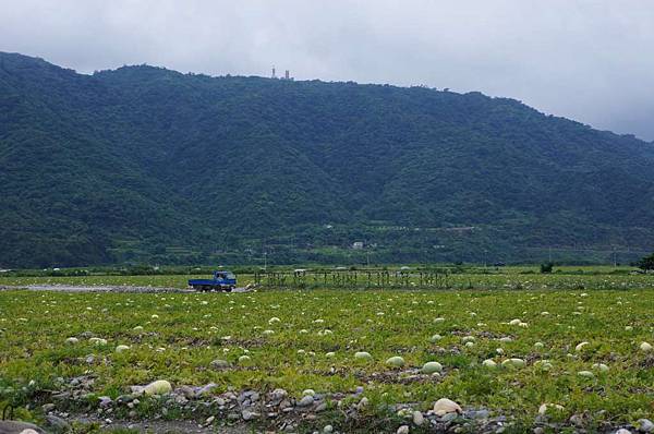 DSC01623-1024.jpg DSC01623-1024.jpg