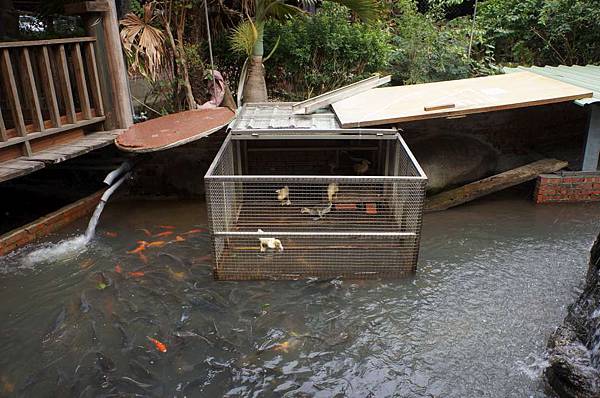 DSC01284-1024.jpg DSC01284-1024.jpg