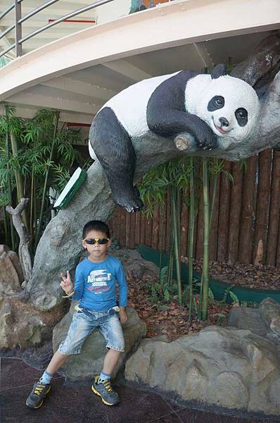 DSC01805-1024.jpg DSC01805-1024.jpg