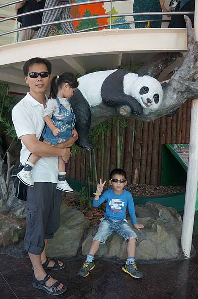 DSC01817-1024.jpg DSC01817-1024.jpg