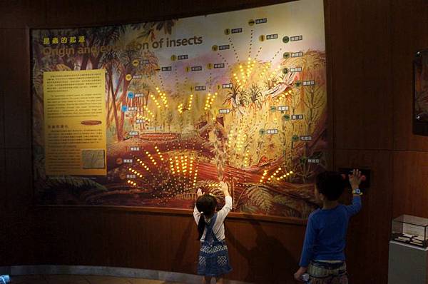 DSC01881-1024.jpg DSC01881-1024.jpg