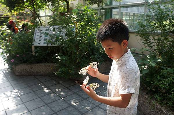 DSC01897-1024.jpg DSC01897-1024.jpg