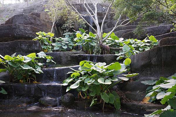 DSC01926-1024.jpg DSC01926-1024.jpg