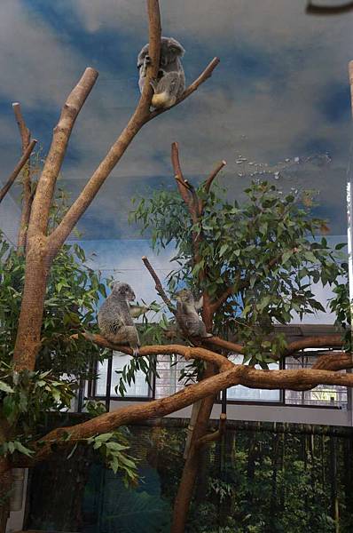 DSC01998-1024.jpg DSC01998-1024.jpg