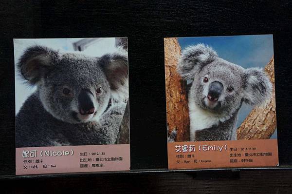 DSC01987-1024.jpg DSC01987-1024.jpg