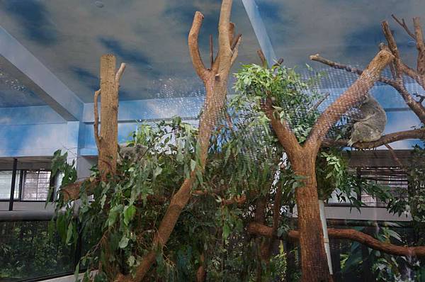 DSC01984-1024.jpg DSC01984-1024.jpg