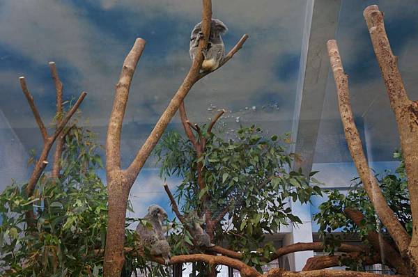 DSC02004-1024.jpg DSC02004-1024.jpg