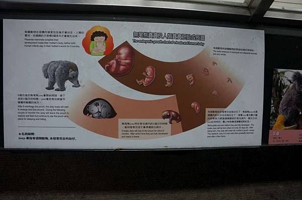 DSC02005-1024.jpg DSC02005-1024.jpg