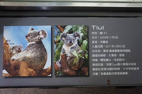 DSC02006-1024.jpg DSC02006-1024.jpg