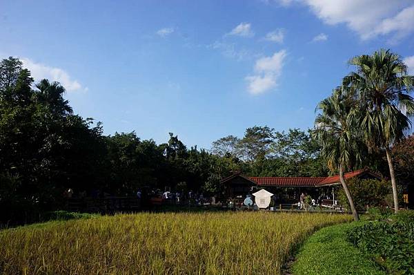 DSC02029-1024.jpg DSC02029-1024.jpg