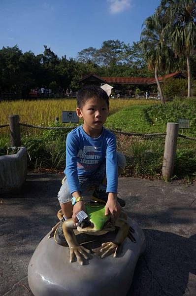 DSC02027-1024.jpg DSC02027-1024.jpg