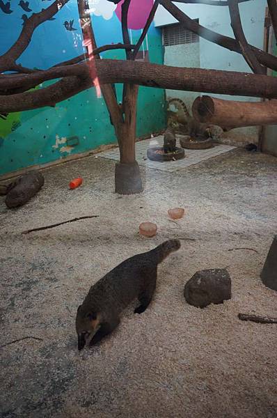 DSC02064-1024.jpg DSC02064-1024.jpg