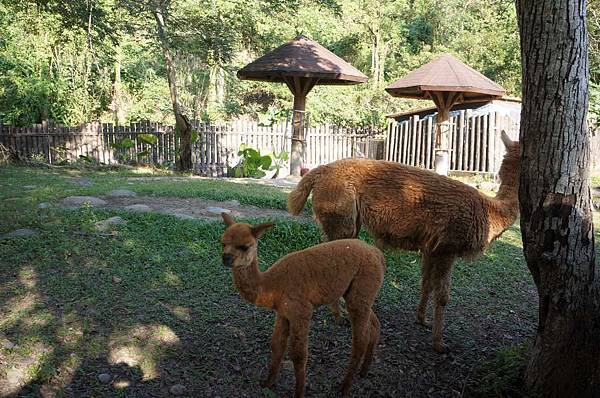 DSC02054-1024.jpg DSC02054-1024.jpg