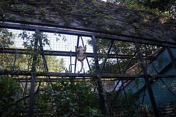 DSC02076-1024.jpg DSC02076-1024.jpg