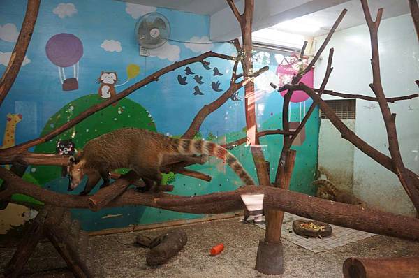 DSC02066-1024.jpg DSC02066-1024.jpg