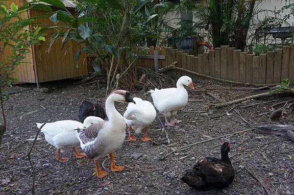 DSC02086-1024.jpg DSC02086-1024.jpg