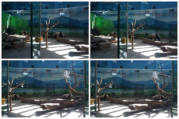 P05-1024.jpg P05-1024.jpg