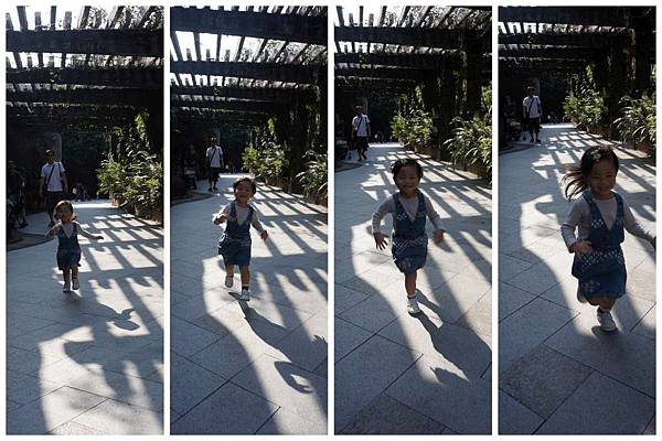 P07-1024.jpg P07-1024.jpg