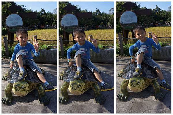 P11-1024.jpg P11-1024.jpg