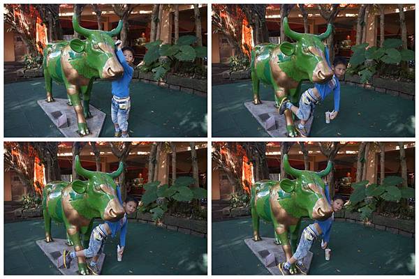 P15-1024.jpg P15-1024.jpg