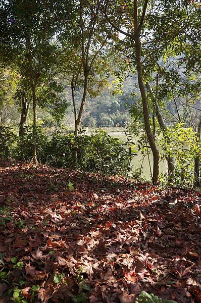 DSC03432-1024.jpg DSC03432-1024.jpg