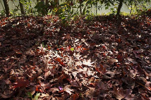 DSC03436-1024.jpg DSC03436-1024.jpg