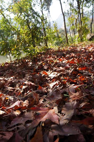 DSC03457-1024.jpg DSC03457-1024.jpg