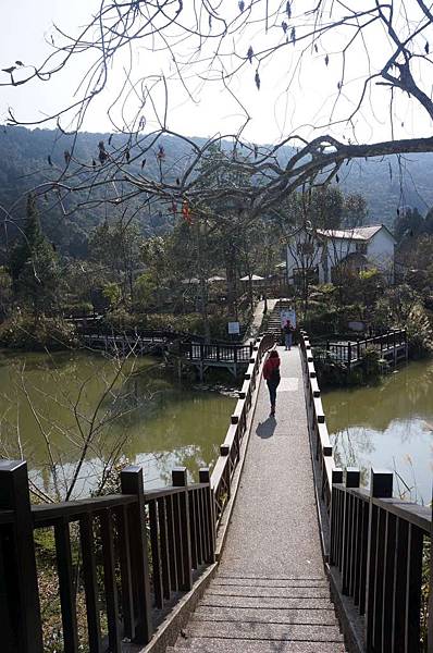 DSC03515-1024.jpg DSC03515-1024.jpg