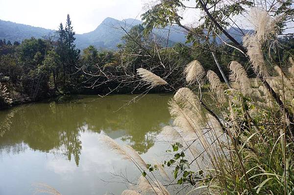 DSC03520-1024.jpg DSC03520-1024.jpg