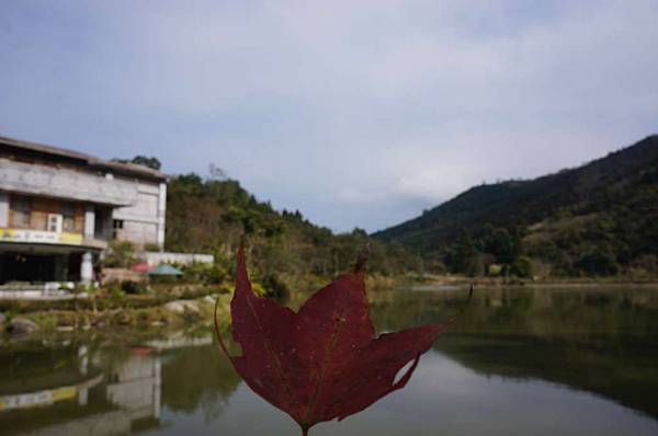 DSC03545-1024.jpg DSC03545-1024.jpg