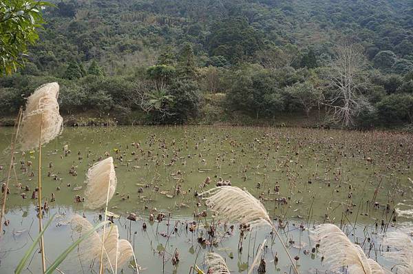 DSC03561-1024.jpg DSC03561-1024.jpg
