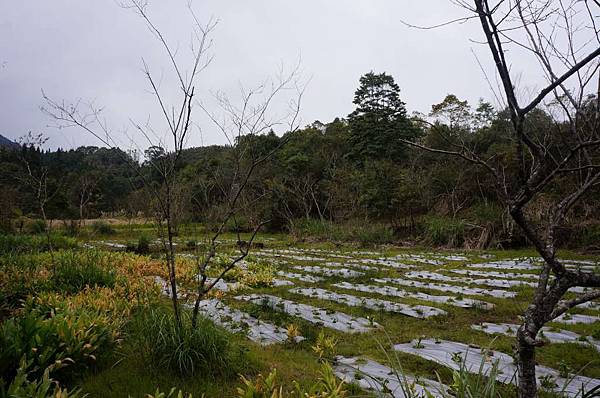 DSC03580-1024.jpg DSC03580-1024.jpg