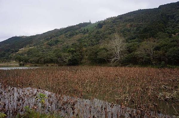 DSC03578-1024.jpg DSC03578-1024.jpg