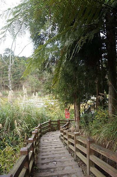 DSC03586-1024.jpg DSC03586-1024.jpg