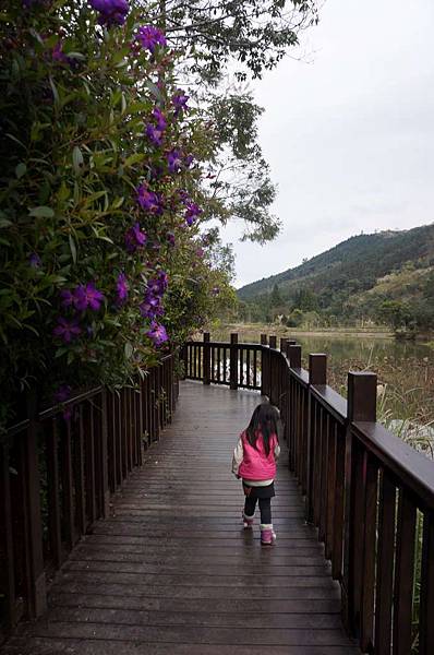 DSC03603-1024.jpg DSC03603-1024.jpg