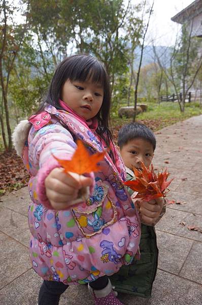 DSC03618-1024.jpg DSC03618-1024.jpg