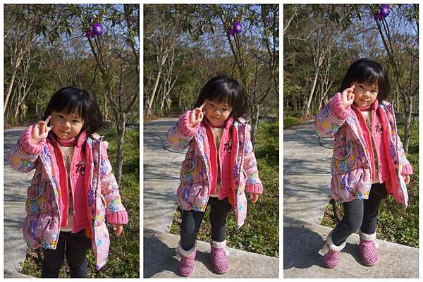 P01-1024.jpg P01-1024.jpg