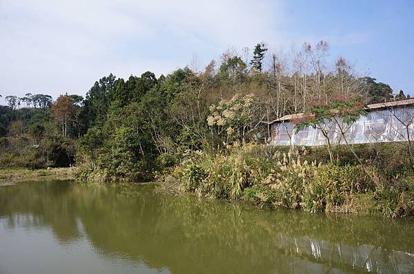 DSC03533.JPG DSC03533.JPG