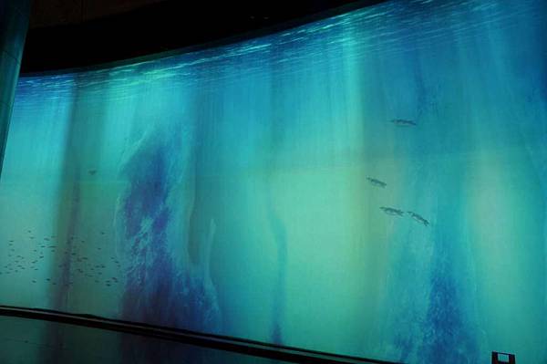 DSC05890-1024.jpg DSC05890-1024.jpg