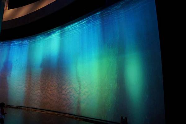 DSC05889-1024.jpg DSC05889-1024.jpg