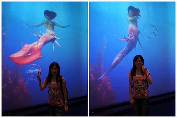 P51-1024.jpg P51-1024.jpg