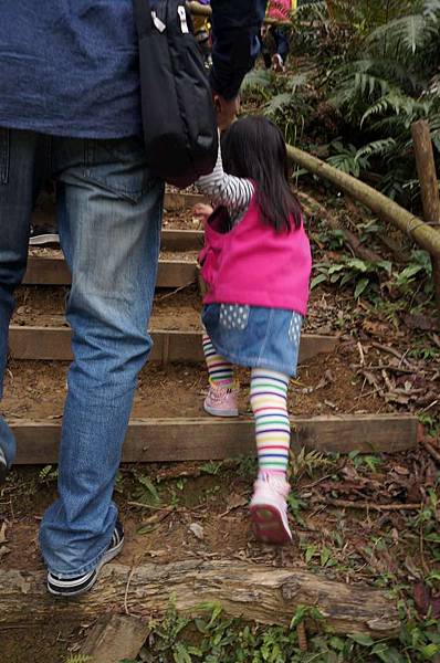 DSC09002-1024.jpg DSC09002-1024.jpg